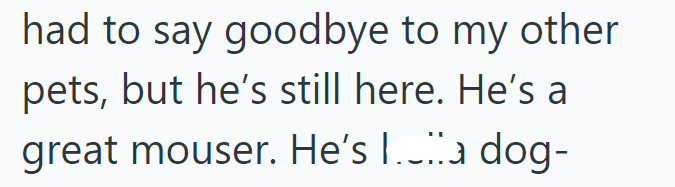 had to say goodbye to my other pets, but he's still here. He's a great mouser. He's a dog-