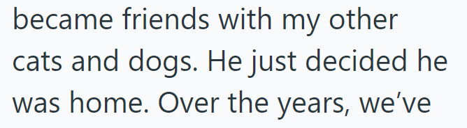 became friends with my other cats and dogs. He just decided he was home. Over the years, we've