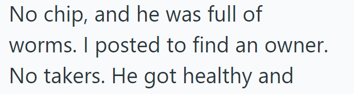 No chip, and he was full of worms. I posted to find an owner. No takers. He got healthy and