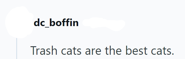 dc_boffin Trash cats are the best cats.