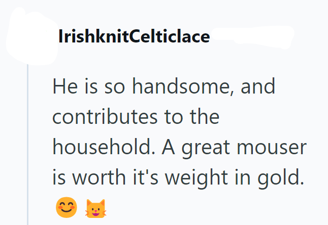 IrishknitCelticlace He is so handsome, and contributes to the household. A great mouser is worth it's weight in gold.