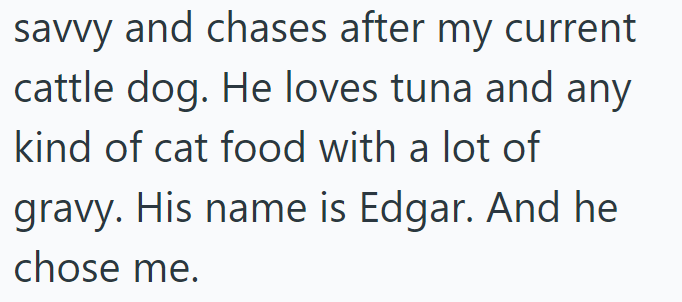 savvy and chases after my current cattle dog. He loves tuna and any kind of cat food with a lot of gravy. His name is Edgar. And he chose me.
