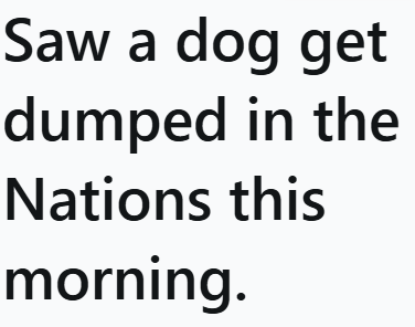 Saw a dog get dumped in the Nations this morning.