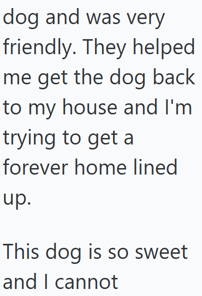 dog and was very friendly. They helped me get the dog back to my house and I'm trying to get a forever home lined up. This dog is so sweet and I cannot