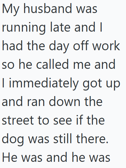 My husband was running late and I had the day off work so he called me and I immediately got up and ran down the street to see if the dog was still there. He was and he was