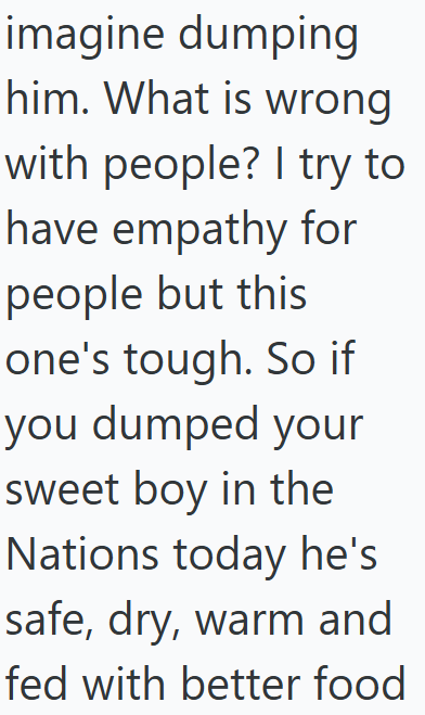 imagine dumping him. What is wrong with people? I try to have empathy for people but this one's tough. So if you dumped your sweet boy in the Nations today he's safe, dry, warm and fed with better food