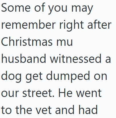 Some of you may remember right after Christmas mu husband witnessed a dog get dumped on our street. He went to the vet and had