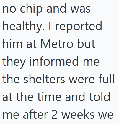 no chip and was healthy. I reported him at Metro but they informed me the shelters were full at the time and told me after 2 weeks we