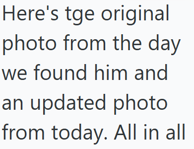 Here's tge original photo from the day we found him and an updated photo from today. All in all