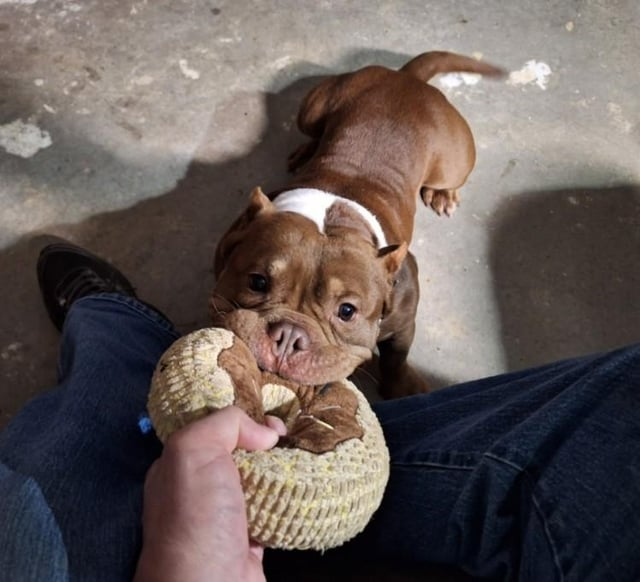 Cheezburger Image 10609386240