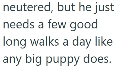 neutered, but he just needs a few good long walks a day like any big puppy does.