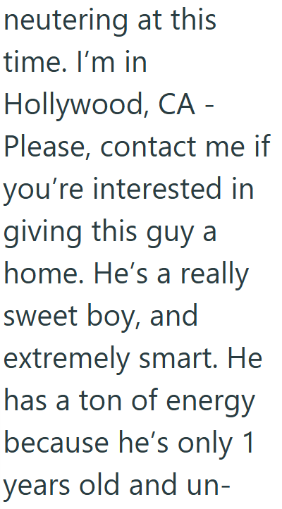 neutering at this time. I'm in Hollywood, CA - Please, contact me if you're interested in giving this guy a home. He's a really sweet boy, and extremely smart. He has a ton of energy because he's only 1 years old and un-