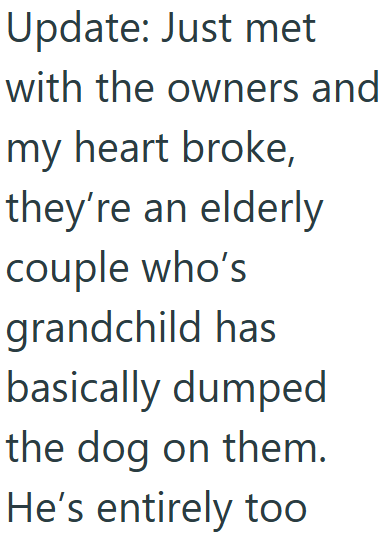 Update: Just met with the owners and my heart broke, they're an elderly couple who's grandchild has basically dumped the dog on them. He's entirely too