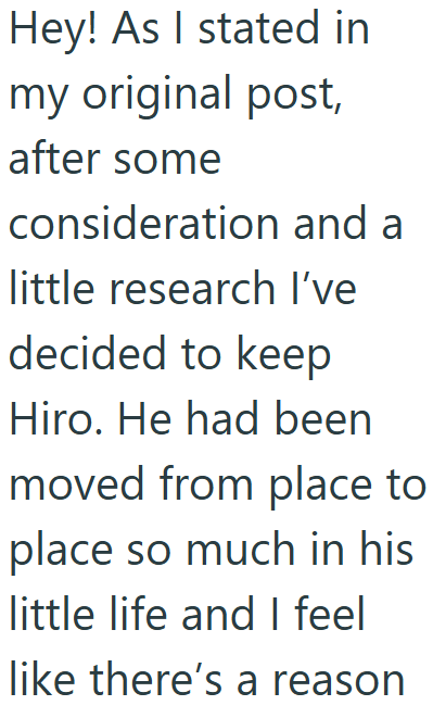 Hey! As I stated in my original post, after some consideration and a little research I've decided to keep Hiro. He had been moved from place to place so much in his little life and I feel like there's a reason