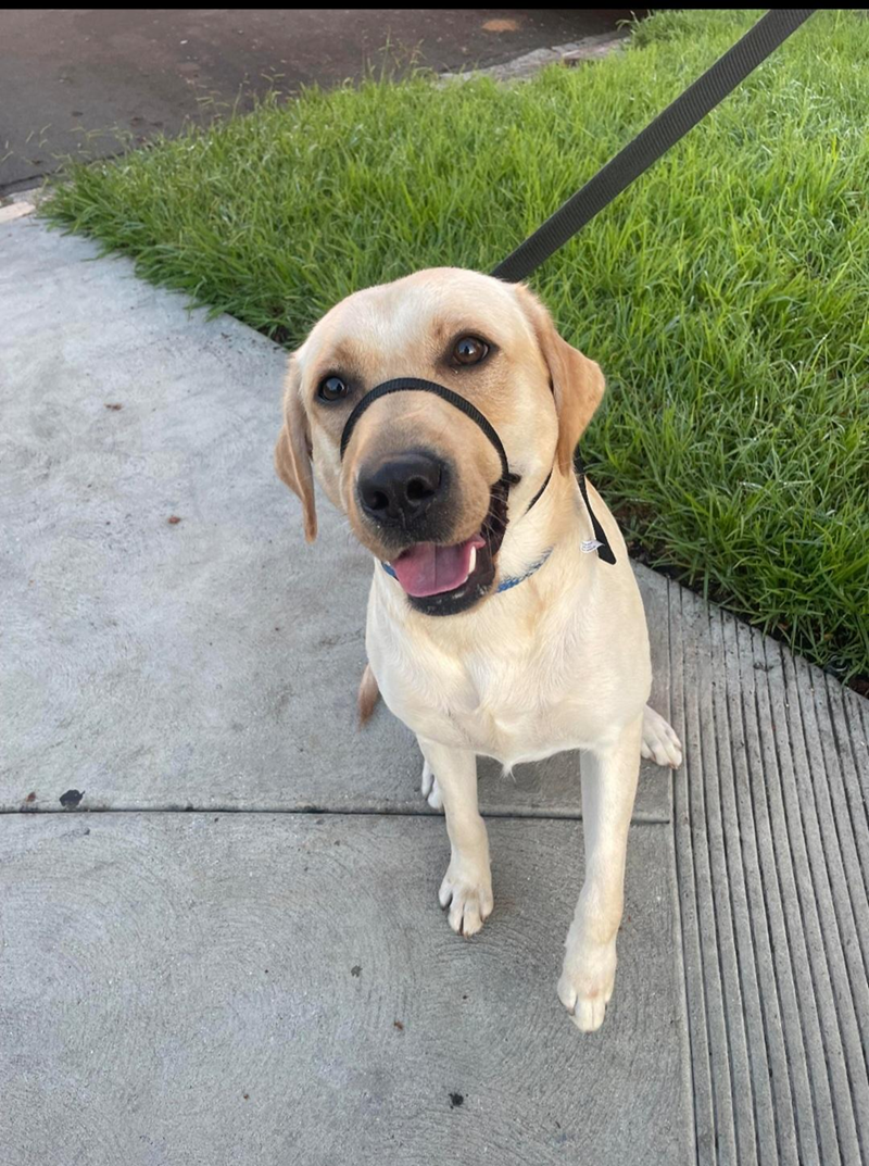 Cheezburger Image 10609392640