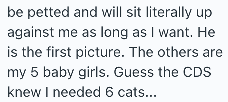 be petted and will sit literally up against me as long as I want. He is the first picture. The others are my 5 baby girls. Guess the CDS knew I needed 6 cats...
