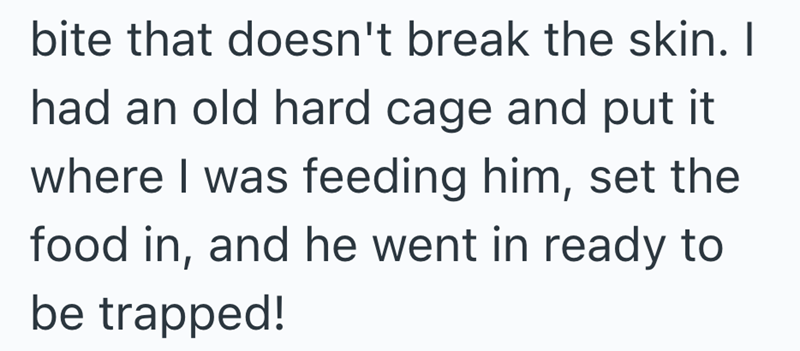 bite that doesn't break the skin. I had an old hard cage and put it where I was feeding him, set the food in, and he went in ready to be trapped!