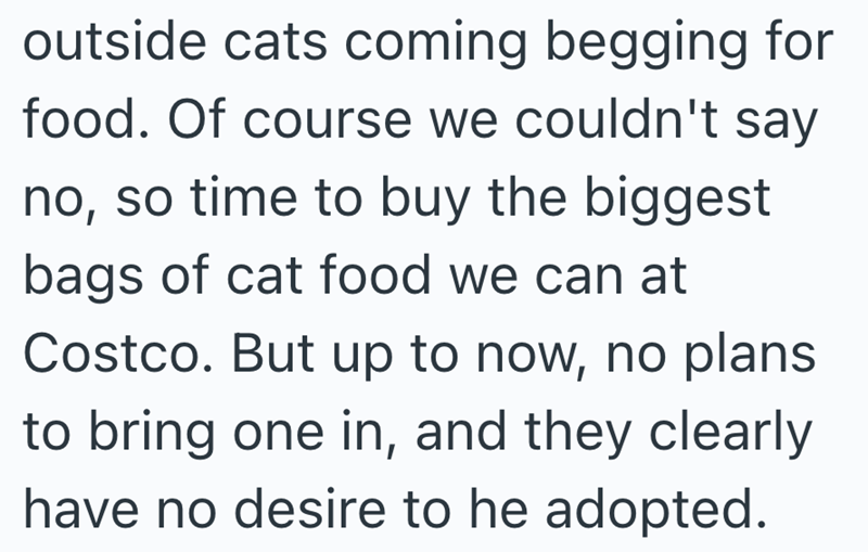 outside cats coming begging for food. Of course we couldn't say no, so time to buy the biggest bags of cat food we can at Costco. But up to now, no plans to bring one in, and they clearly have no desire to he adopted.