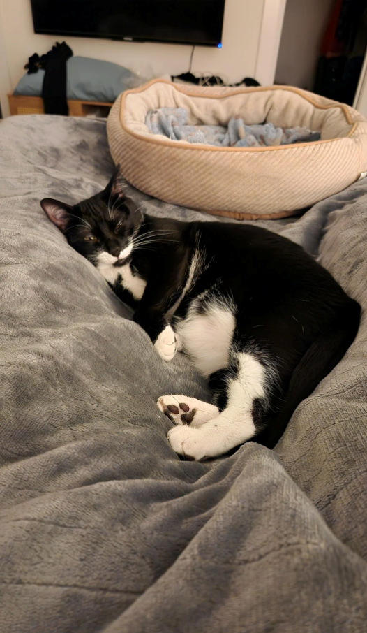 Cheezburger Image 10609407744