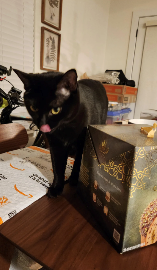 fun it is to save Oh what f How so it is best