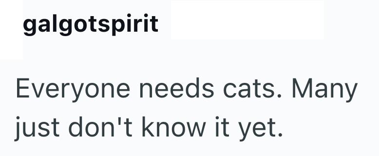 galgotspirit Everyone needs cats. Many just don't know it yet.