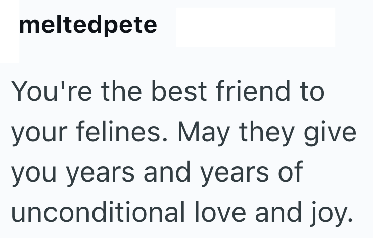 meltedpete You're the best friend to your felines. May they give you years and years of unconditional love and joy.
