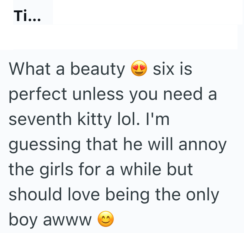 Ti... What a beauty six is perfect unless you need a seventh kitty lol. I'm guessing that he will annoy the girls for a while but should love being the only boy awww
