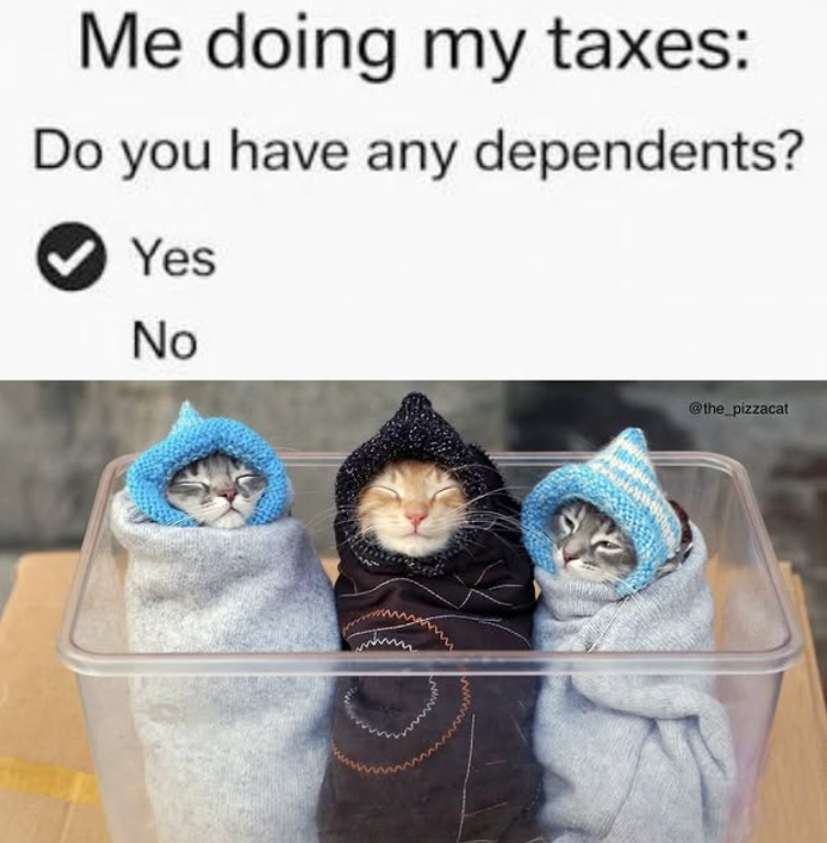 Me doing my taxes: Do you have any dependents? Yes No @the_pizzacat