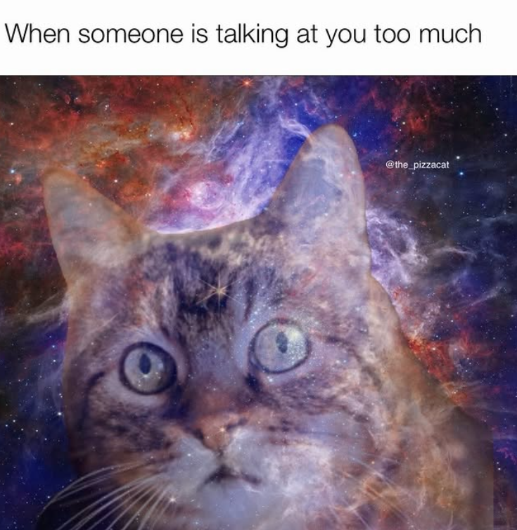 When someone is talking at you too much @the_pizzacat