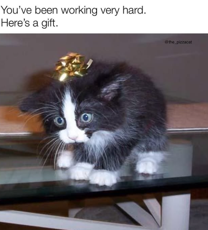 You've been working very hard. Here's a gift. @the_pizzacat