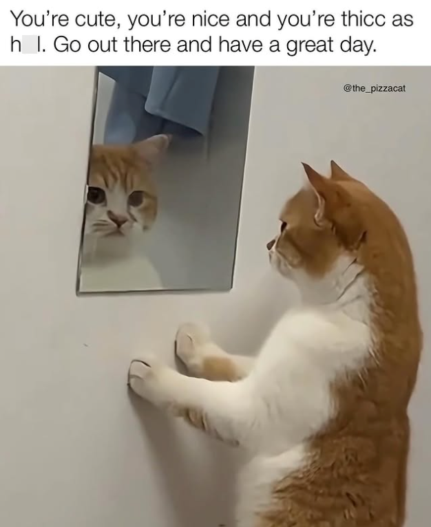 You're cute, you're nice and you're thicc as hl. Go out there and have a great day. @the_pizzacat