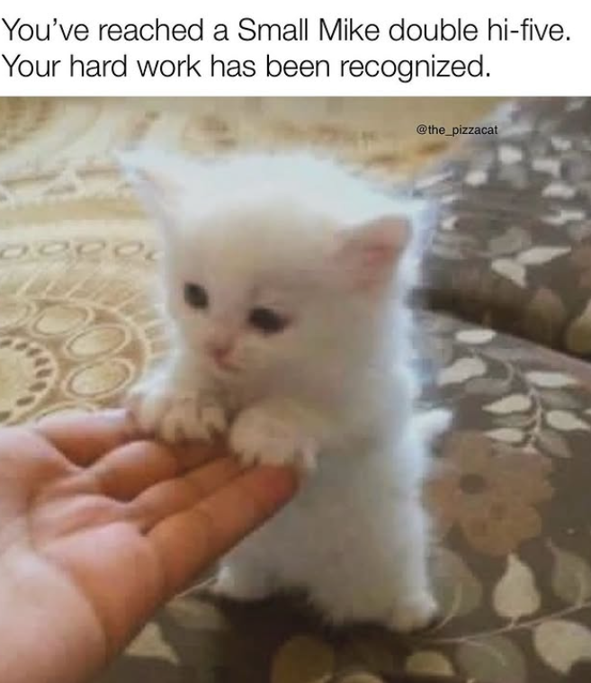 You've reached a Small Mike double hi-five. Your hard work has been recognized. @the_pizzacat