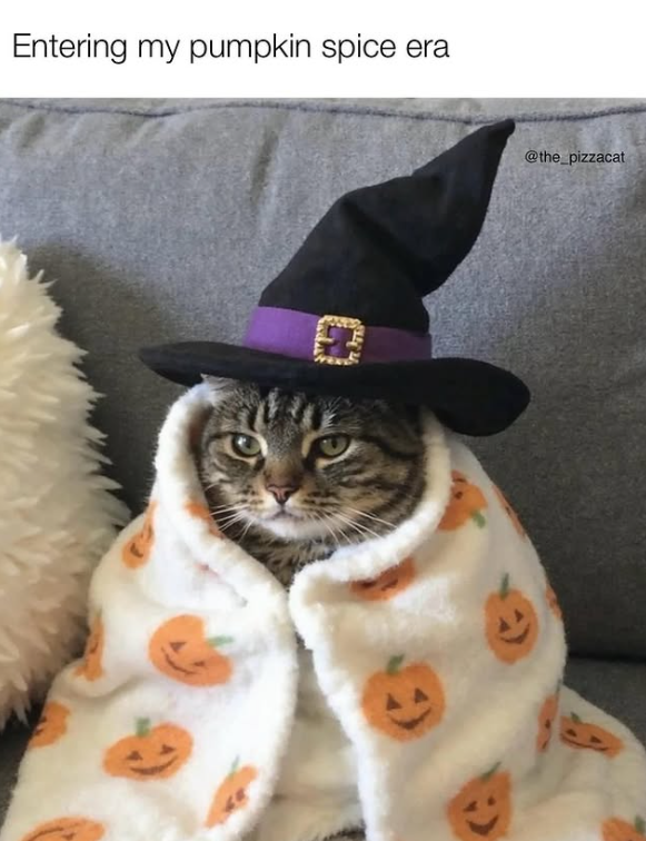 Entering my pumpkin spice era @the_pizzacat