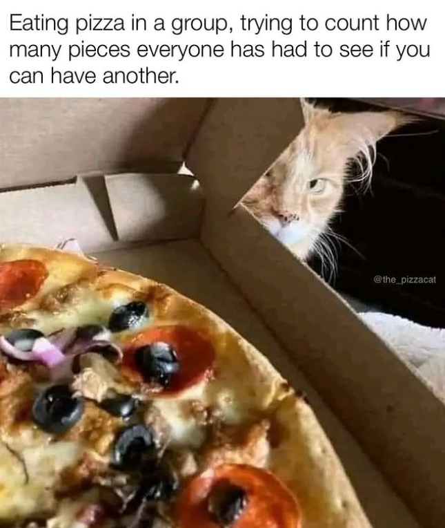Eating pizza in a group, trying to count how many pieces everyone has had to see if you I can have another. @the_pizzacat