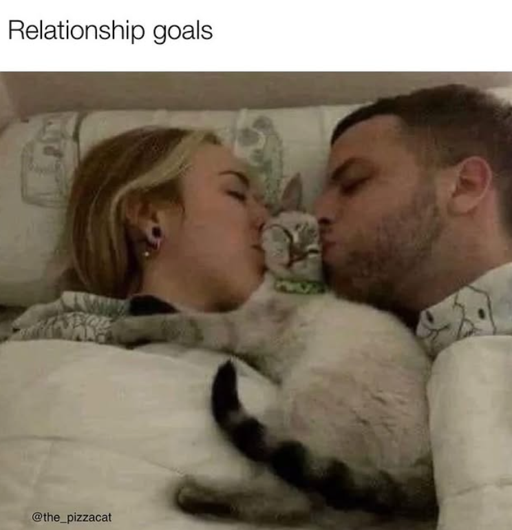 Relationship goals @the_pizzacat