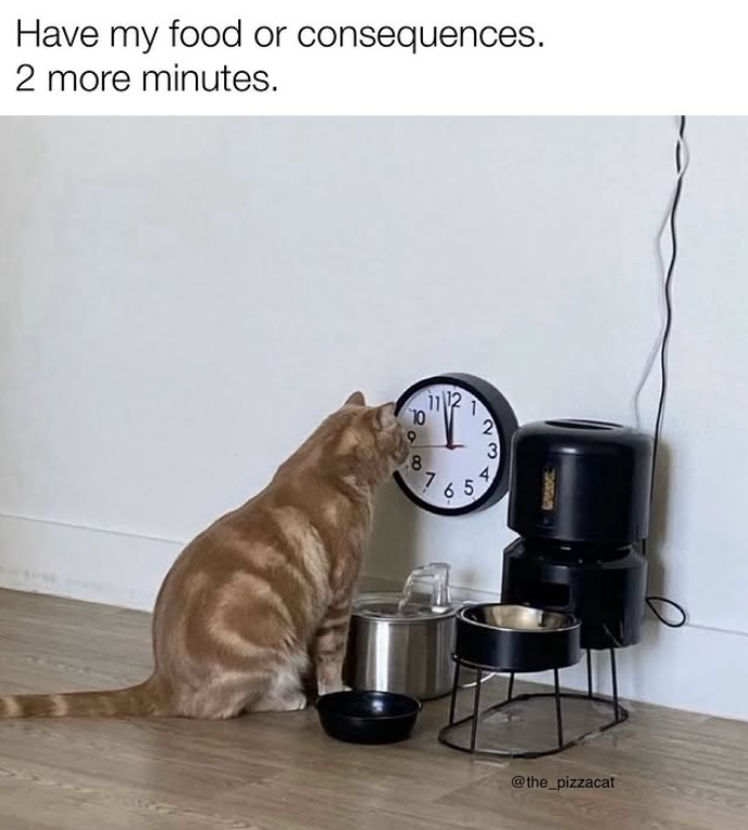 Have my food or consequences. 2 more minutes. 10 8 23 4 7 65 @the_pizzacat