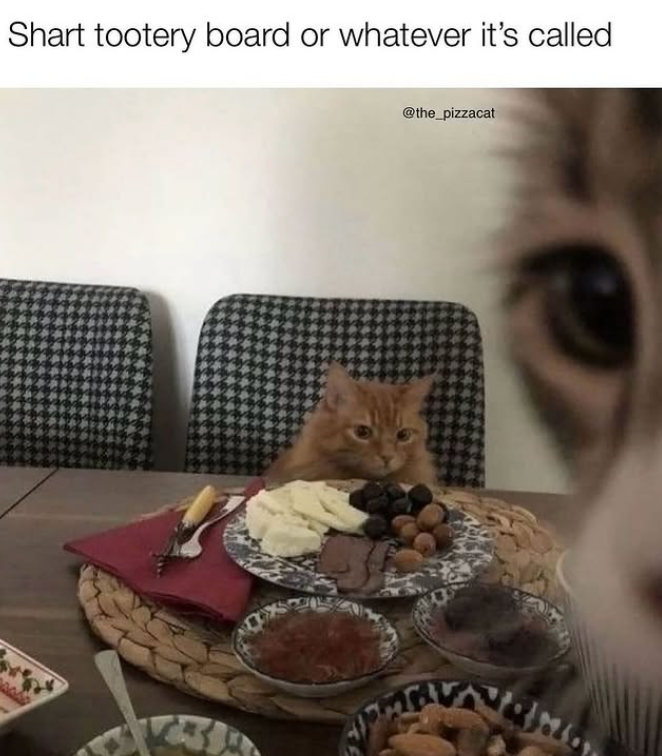 Shart tootery board or whatever it's called @the_pizzacat