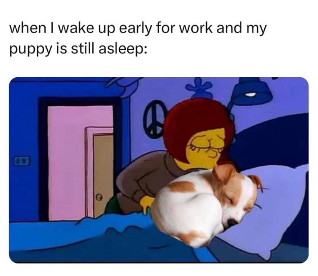 when I wake up early for work and my puppy is still asleep: