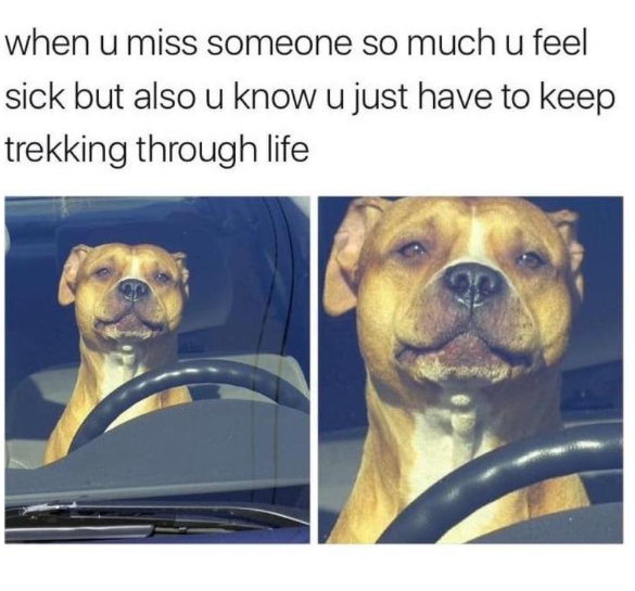 when u miss someone so much u feel sick but also u know u just have to keep trekking through life