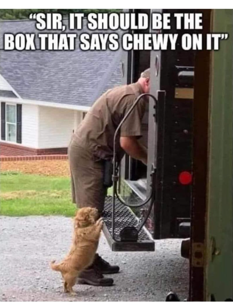 "SIR, IT SHOULD BE THE BOX THAT SAYS CHEWY ON IT"
