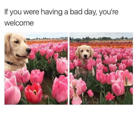 If you were having a bad day, you're welcome