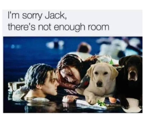 I'm sorry Jack, there's not enough room