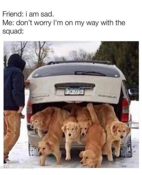 Friend: i am sad. Me: don't worry I'm on my way with the squad: made with mematic FJK-2236