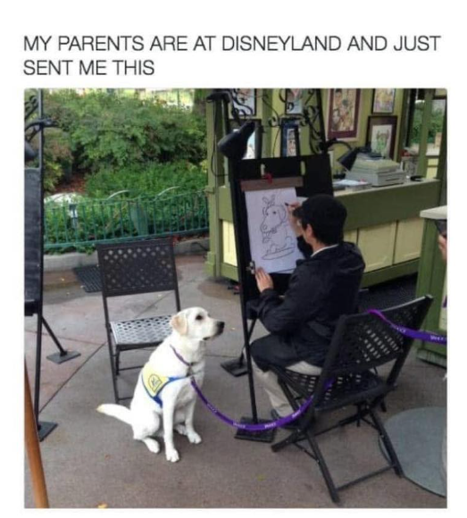 MY PARENTS ARE AT DISNEYLAND AND JUST SENT ME THIS