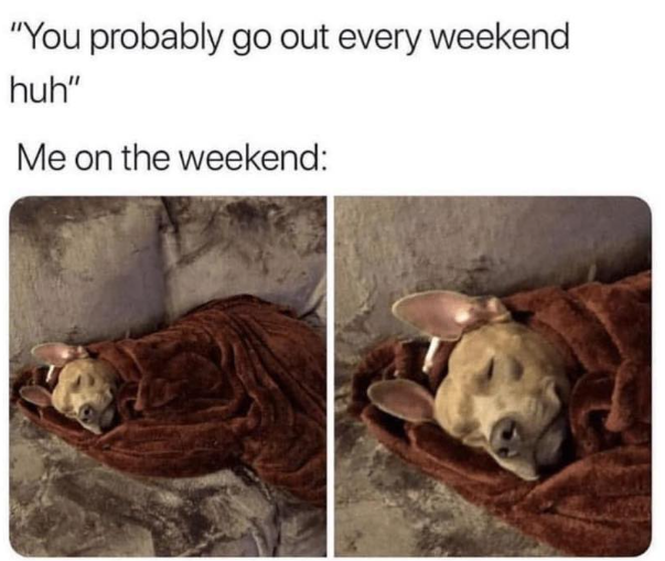 "You probably go out every weekend huh" Me on the weekend: