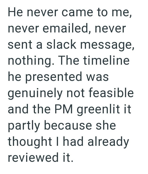 He never came to me, never emailed, never sent a slack message, nothing. The timeline he presented was genuinely not feasible and the PM greenlit it partly because she thought I had already reviewed it.