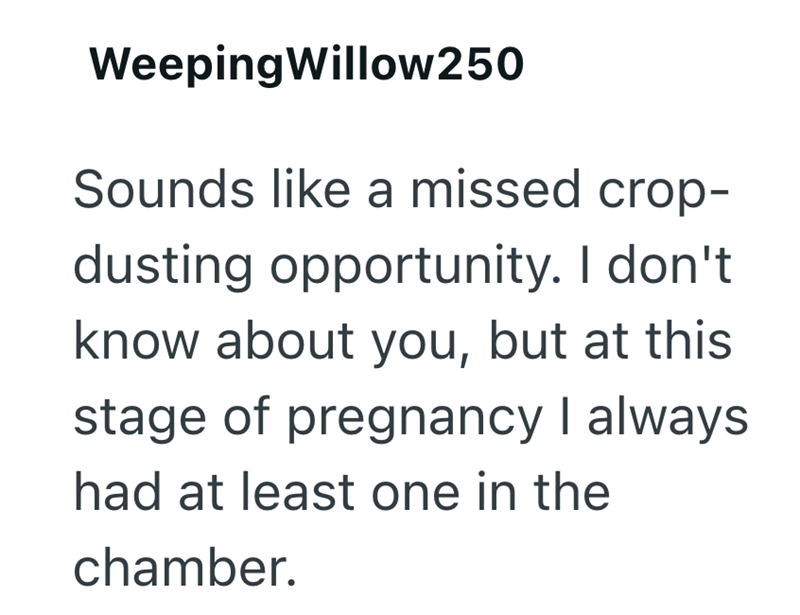 WeepingWillow250 Sounds like a missed crop- dusting opportunity. I don't know about you, but at this stage of pregnancy I always had at least one in the chamber.