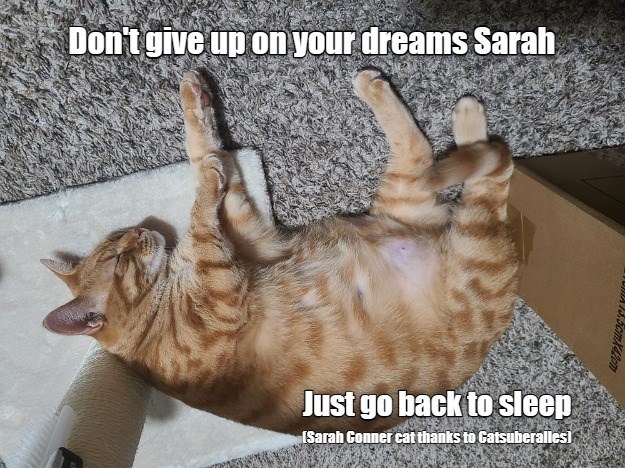 Cheezburger Image 10609510144