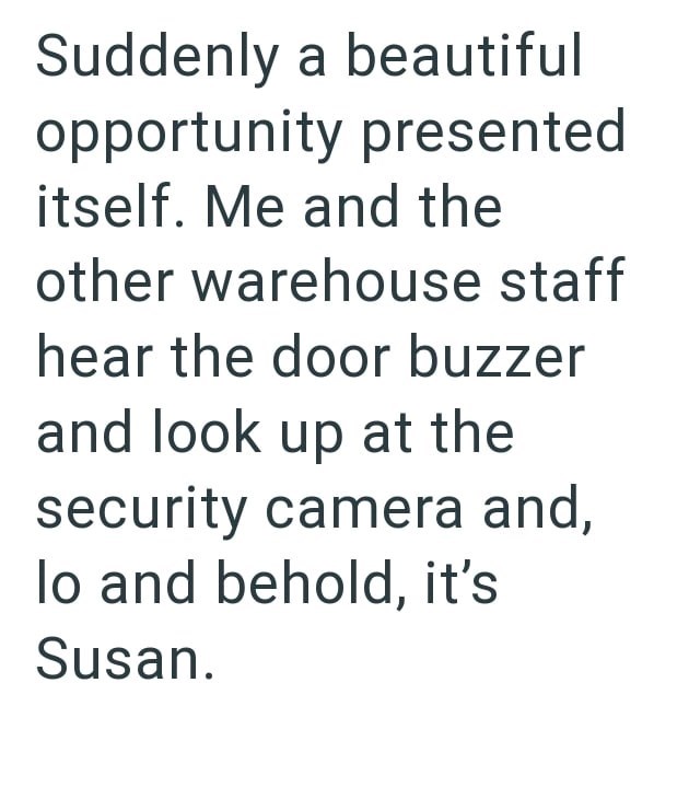 Suddenly a beautiful opportunity presented itself. Me and the other warehouse staff hear the door buzzer and look up at the security camera and, lo and behold, it's Susan.