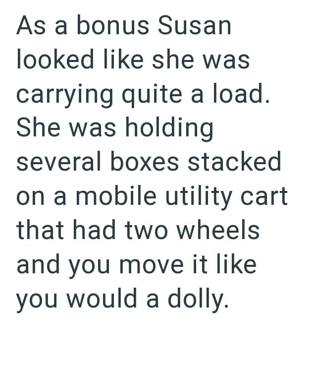 As a bonus Susan looked like she was carrying quite a load. She was holding several boxes stacked on a mobile utility cart that had two wheels and you move it like you would a dolly.